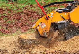 Professional Tree Removal in Florala, AL