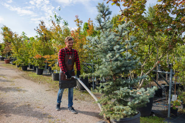 Best Emergency Tree Removal  in Flora, AL